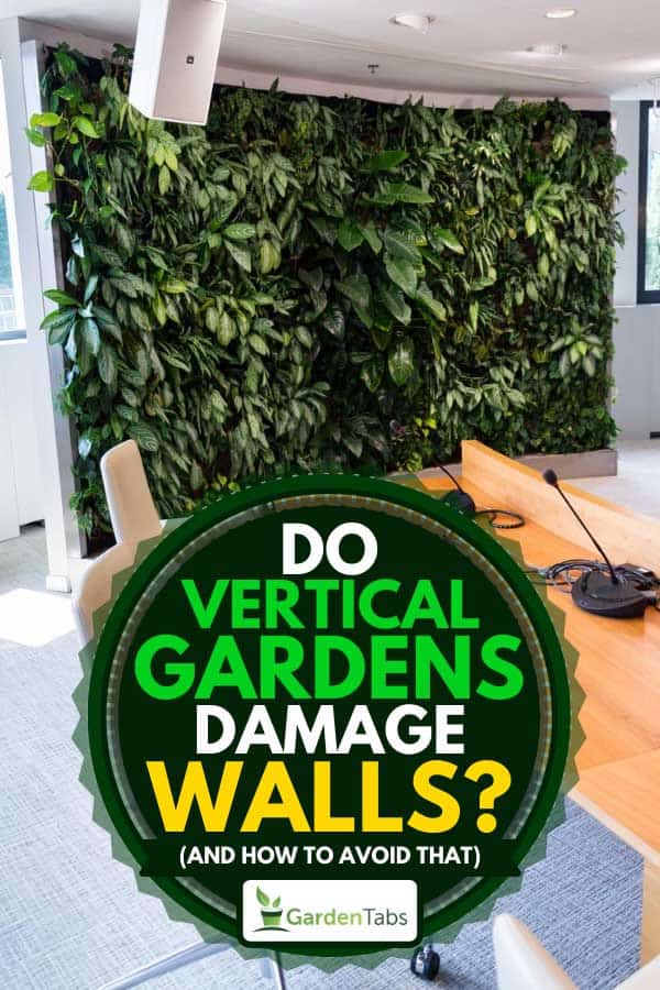Vertical green wall in an office room, Do Vertical Gardens Damage Walls? (And How to Avoid That)
