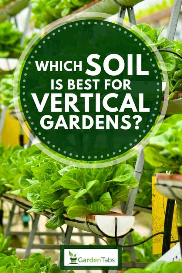 Urban vertical garden with vegetables, Which Soil Is Best For Vertical Gardens?