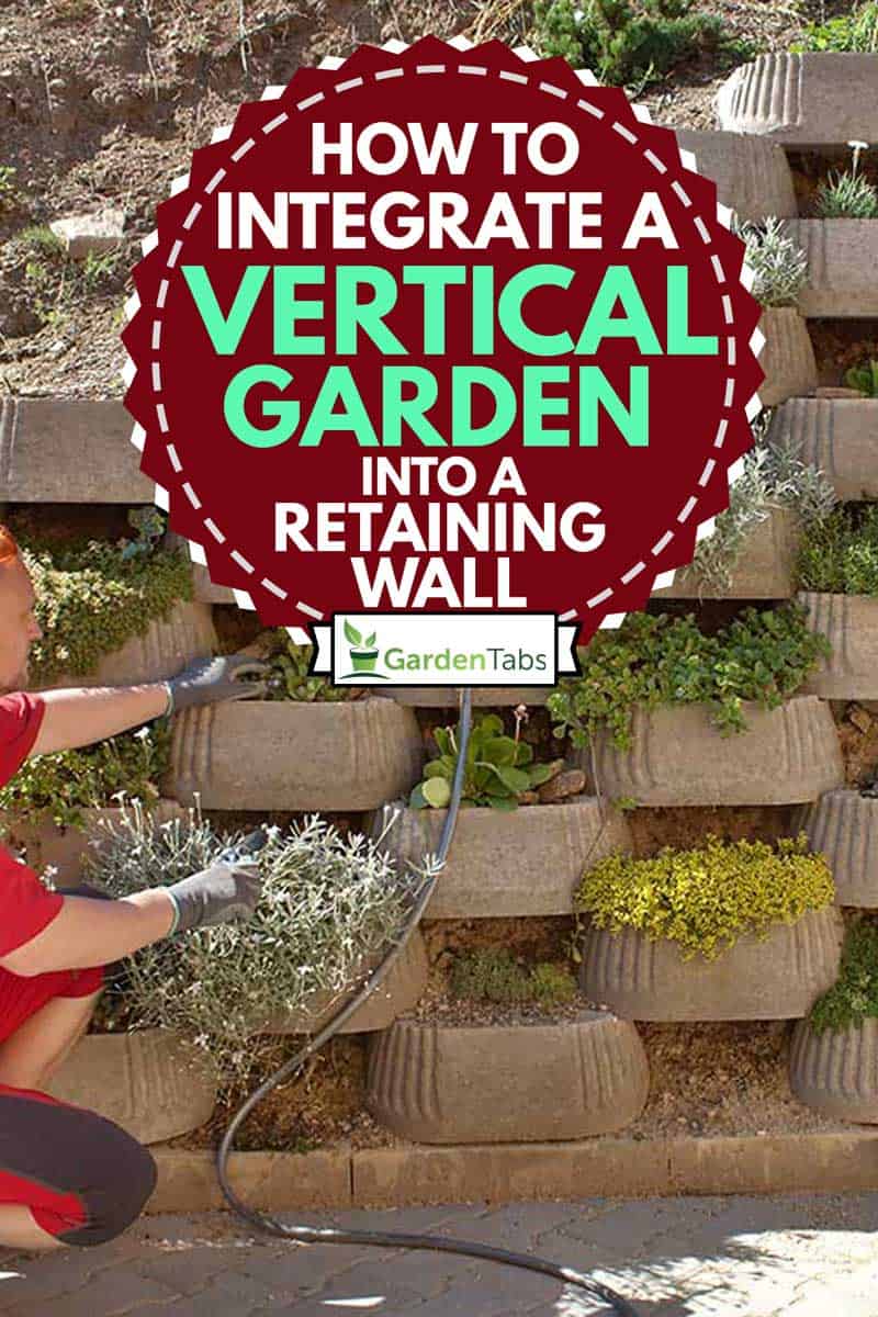 A man in red integrating his vertical garden into a retaining wall, How to Integrate a Vertical Garden into a retaining wall