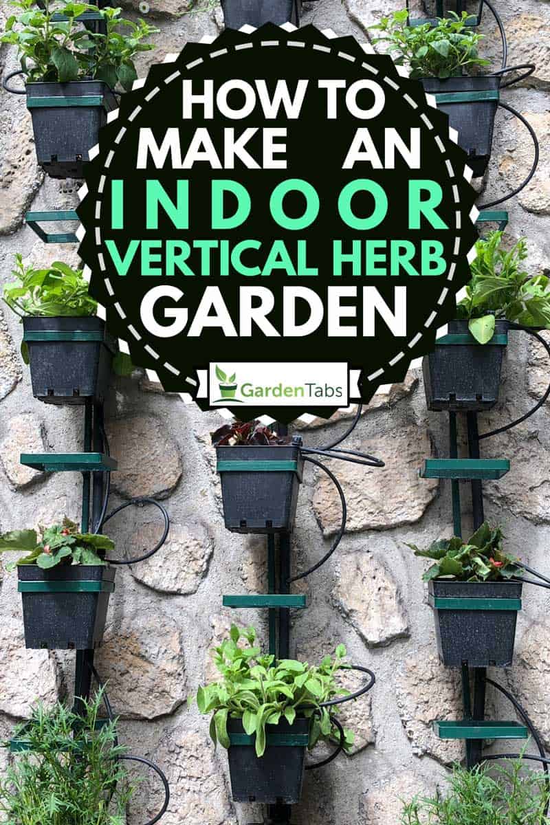 Vertical herb garden on concrete wall, How to Make an Indoor Vertical Herb Garden