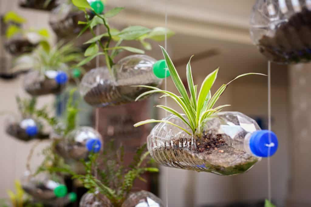 Hanging vertical plastic bottle with plants on it