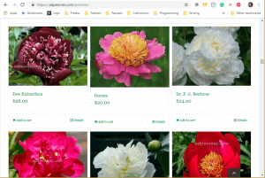 A & D Nurseries website product page for Peony Plants or Bulbs