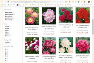 Blooming Bulb website product page for Peony Plants or Bulbs