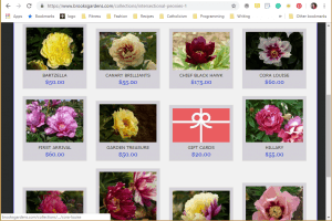 Brooks Gardens website product page for Peony Plants or Bulbs