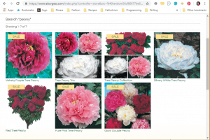 Burgess Seed and Plant Co. website product page for Peony Plants or Bulbs