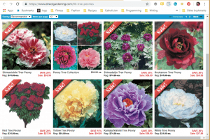 Direct Gardening website product page for Peony Plants or Bulbs
