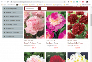 Dutch Gardens website product page for Peony Plants or Bulbs