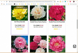 K. Van Bourgondien website product page for Peony Plants or Bulbs