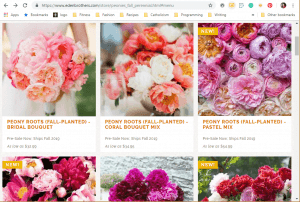 Eden Brothers website product page for Peony Plants or Bulbs