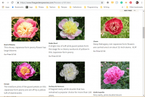 Fina Garden website product page for Peony Plants or Bulbs