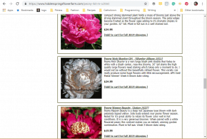 Hidden Springs Flower Farm website product page for Peony Plants or Bulbs