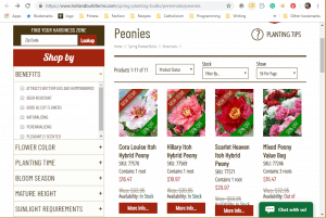 Holland Bulb Farms website product page for Peony Plants or Bulbs