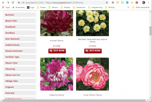 Jung Seed Company website product page for Peony Plants or Bulbs