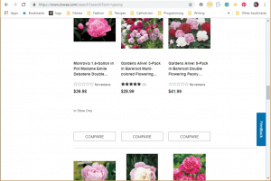Lowes website product page for Peony Plants or Bulbs