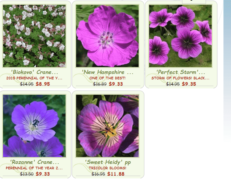New Garden plants website product page