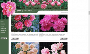 Peony Nursery website product page for Peony Plants or Bulbs