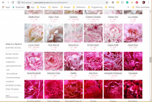 Peony's Envy website product page for Peony Plants or Bulbs