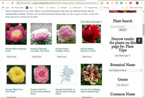 Sugar Creek Gardens website product page for Peony Plants or Bulbs