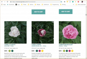Swenson Gardens website product page for Peony Plants or Bulbs