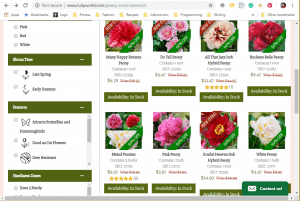 Tulip World website product page for Peony Plants or Bulbs