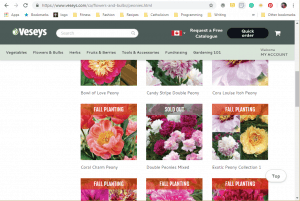 Veseys website product page for Peony Plants or Bulbs