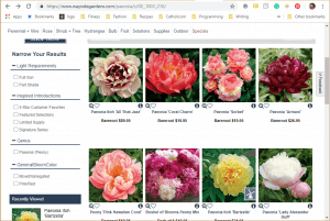 Wayside Gardens website product page for Peony Plants or Bulbs
