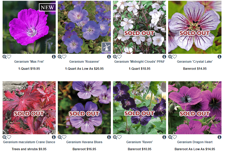 Wayside Gardens website product page