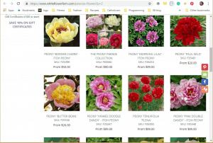 White Flower Farm website product page for Peony Plants or Bulbs
