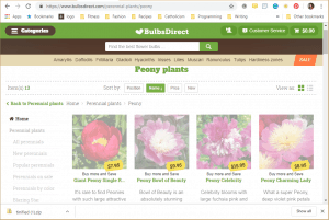 Bulbs Direct website product page for Peony Plants or Bulbs