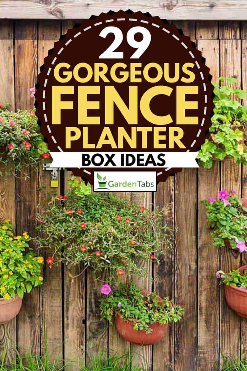 Vertical fence planter box with assorted flower plants,29 Gorgeous Fence Planter Box Ideas