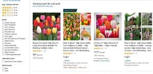 Amazon website product page for tulip bulbs