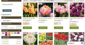 American Meadows website product page for tulip bulbs