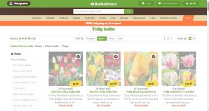 Bulbs Direct website product page for tulip bulbs