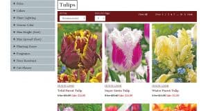 Dutch Gardens website product page for tulip bulbs