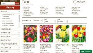 Holland Bulb Farms website product page for tulip bulbs