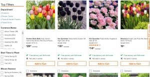 Home Depot website product page for tulip bulbs