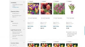 Lowe's website product page for tulip bulbs