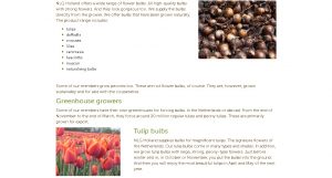 NLG Holland website product page for tulip bulbs