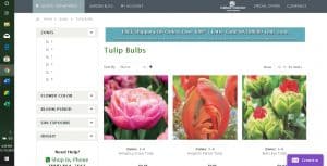 Nature Hills Nursery website product page for tulip bulbs