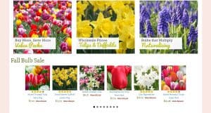 Tulip World website product page for tulip bulbs