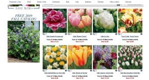 Wayside Gardens website product page for tulip bulbs
