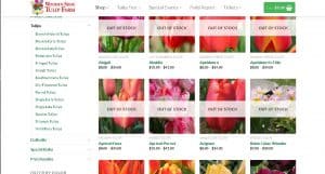 Wooden Shoe Tulip Farm website product page for tulip bulbs