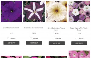 2B Seeds website product page for Petunia Seeds