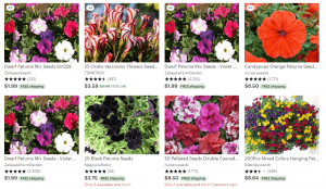 Etsy website product page for Petunia Seeds