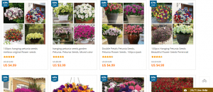 OnlineBuyMore website product page for Petunia Seeds