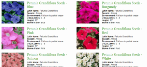 Outside Pride website product page for Petunia Seeds