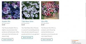 Urban Farmer website product page for Petunia Seeds