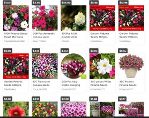 eCrater website product page for Petunia Seeds