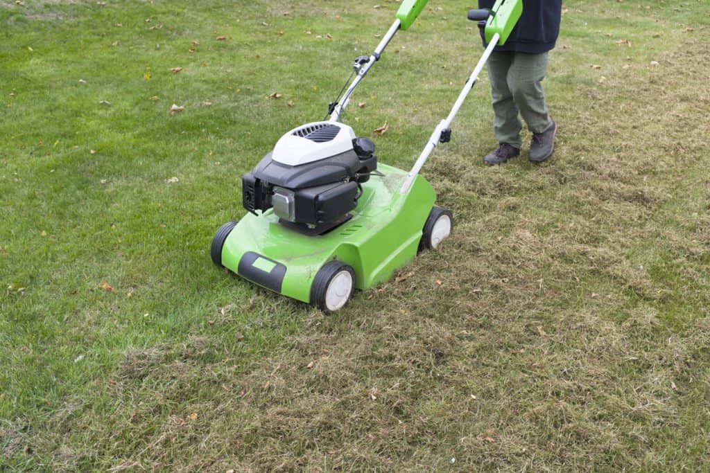 A man mowing his lawn with a lawn mower