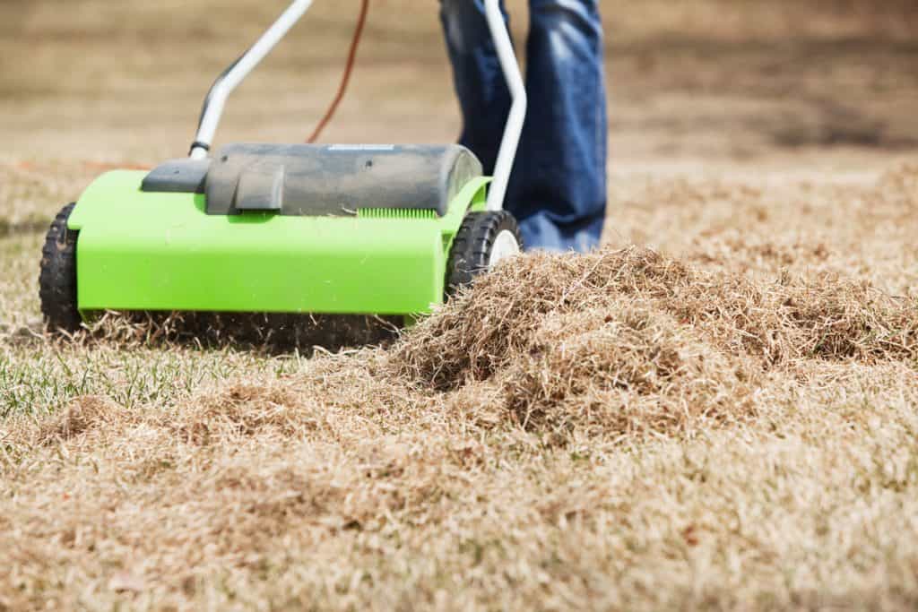 A man using an electric power rake to clean his lawn